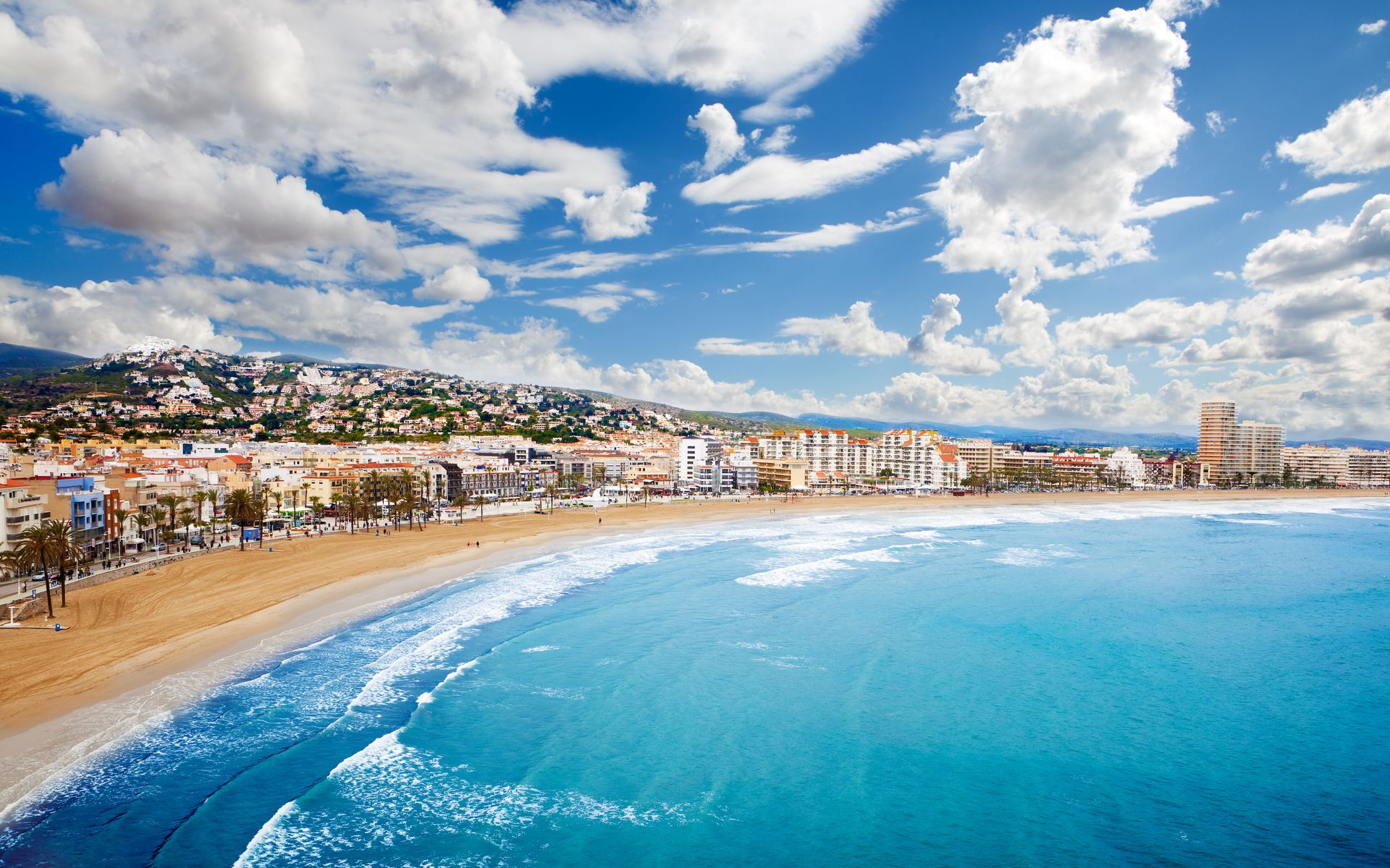 shutterstock-77010277-xtybfvs.jpg
